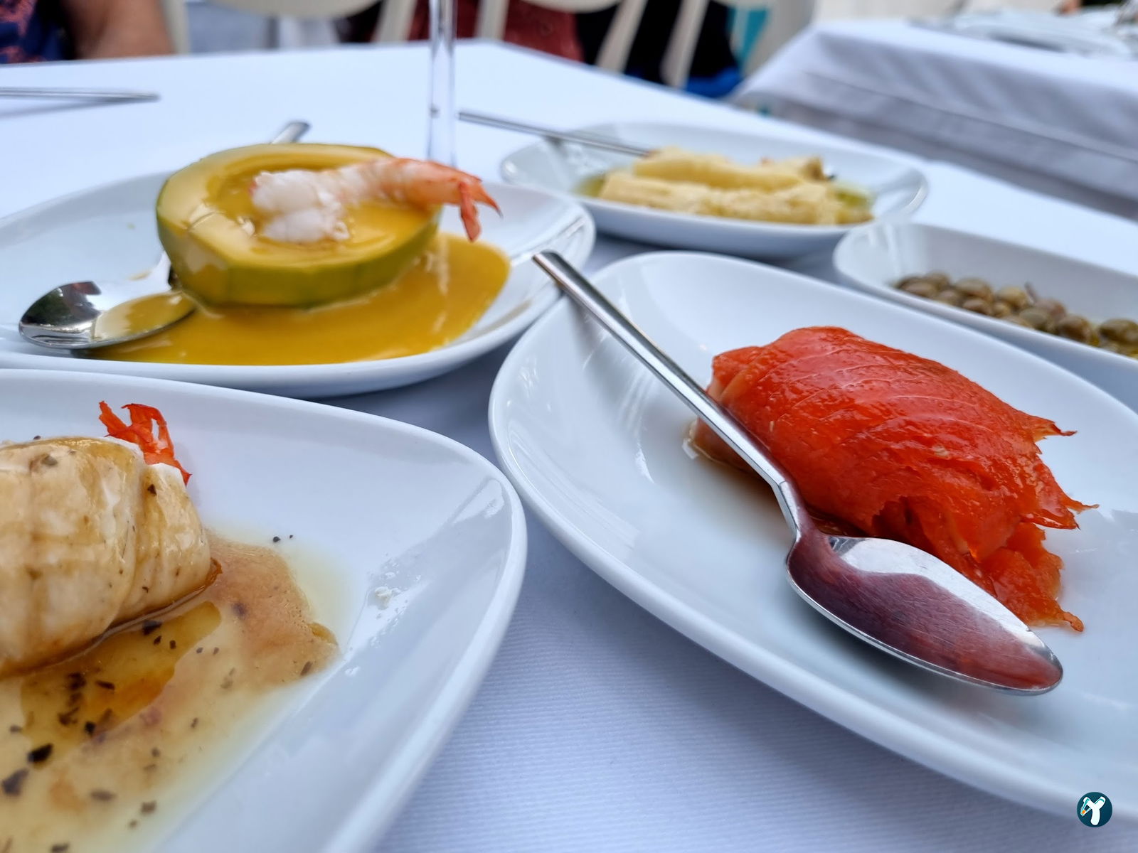 Yelken Balık Bodrum