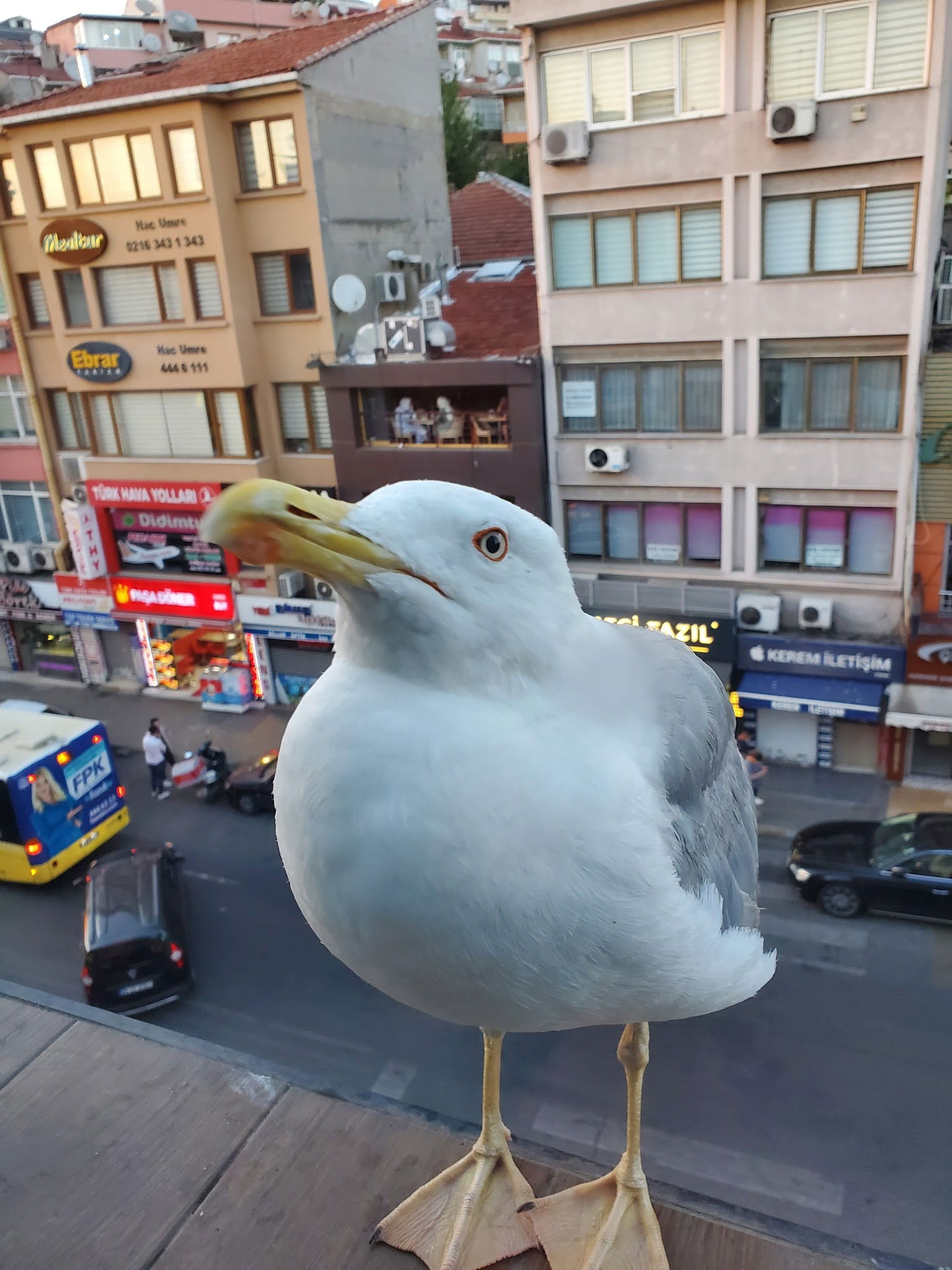 Saloon Burger Üsküdar