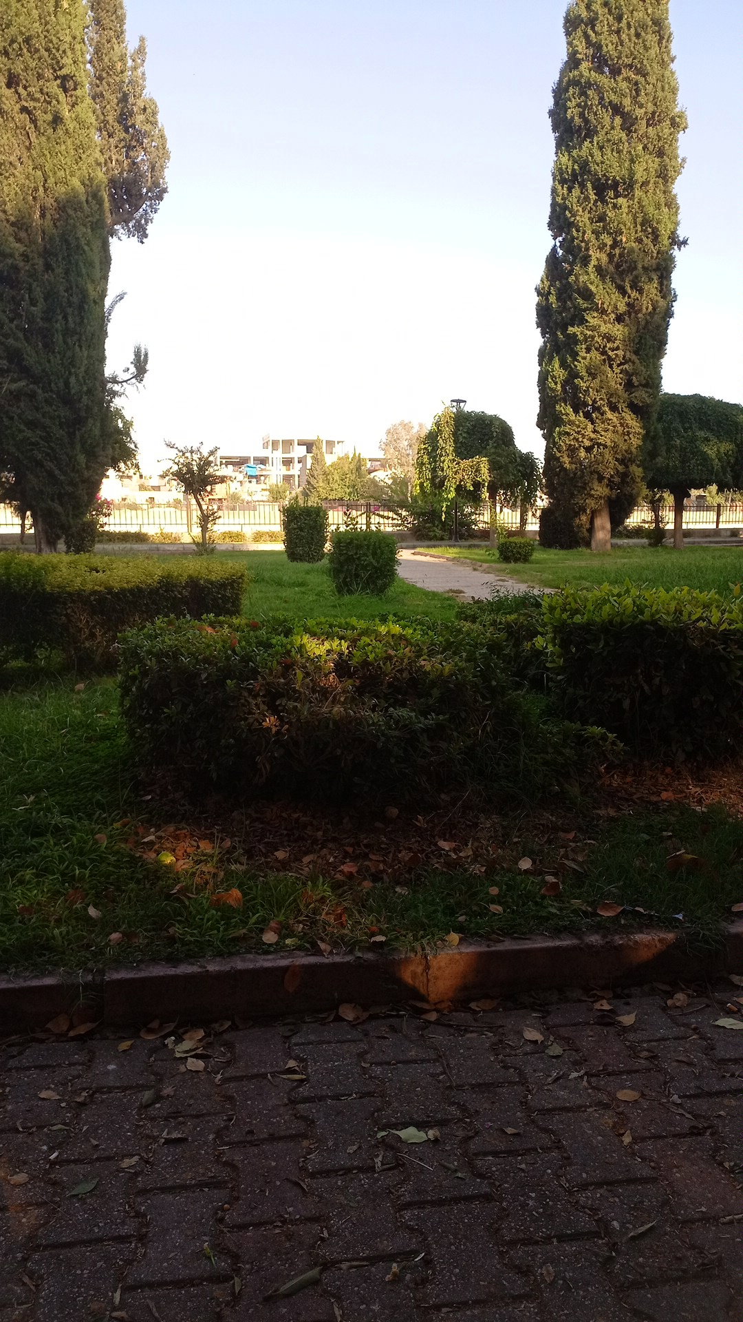 Aşkım Cafe Bici Bici