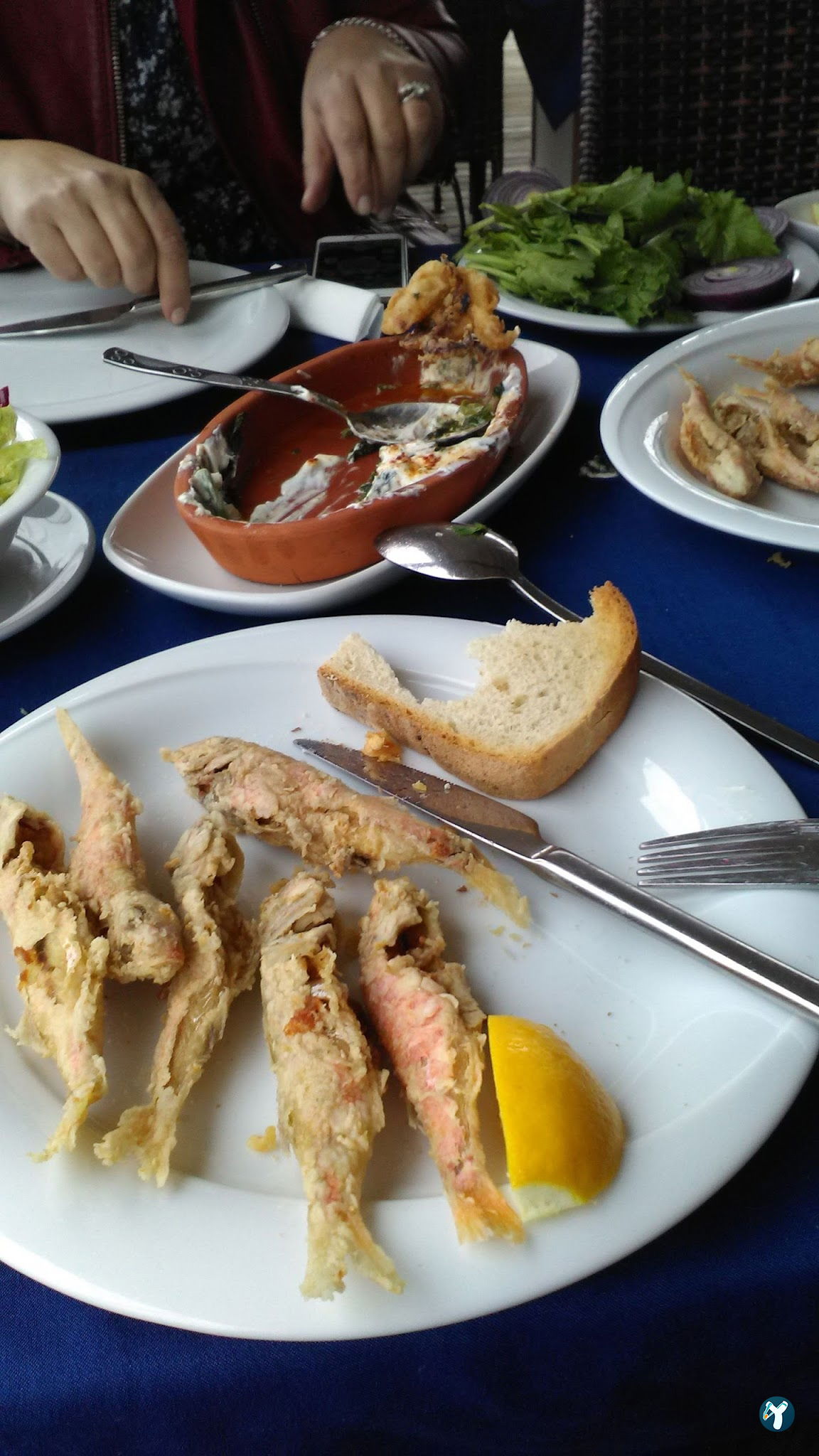 Dikili Deniz Restaurant