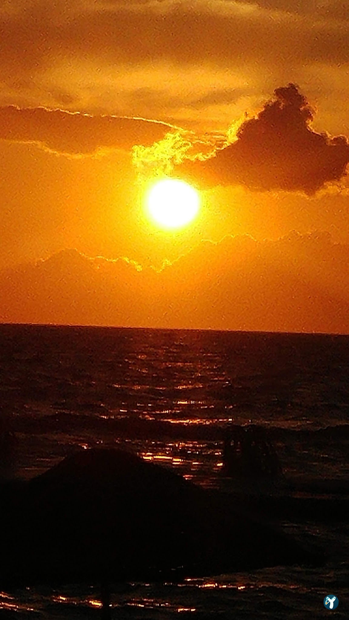 Dikili Deniz Restaurant