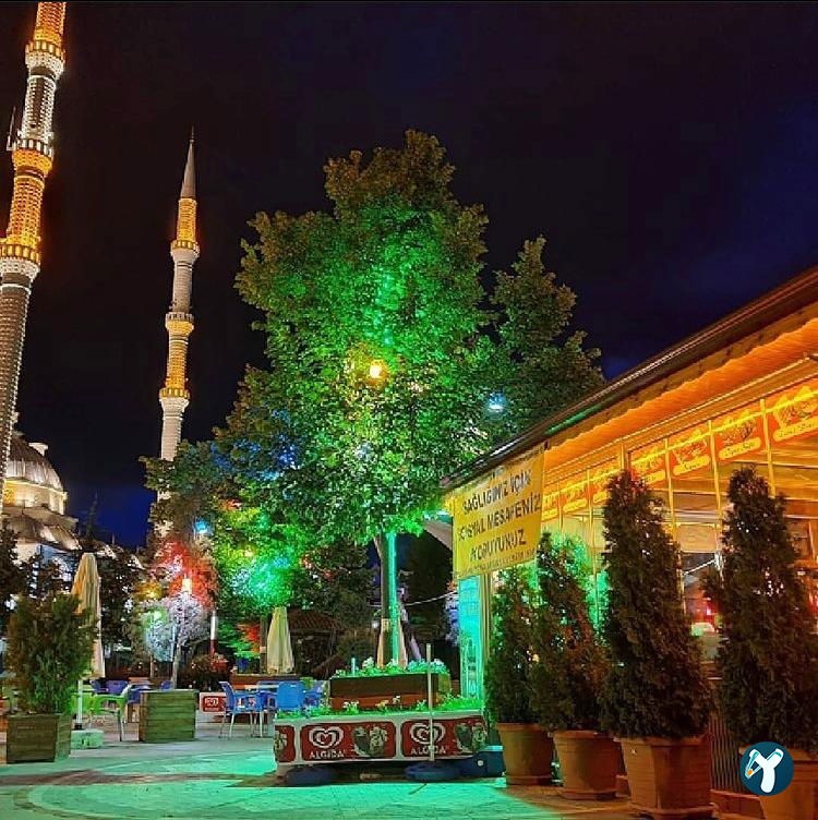 Ahşap Konak Çay Bahçesi
