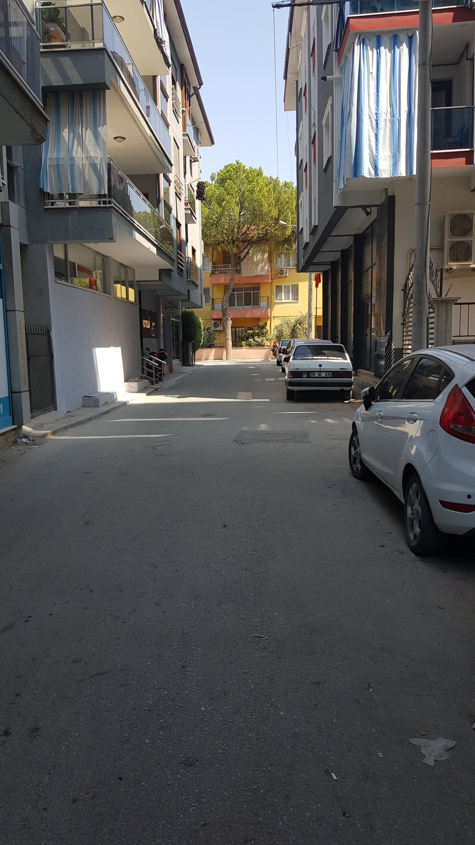 Sarmaşık Cafe
