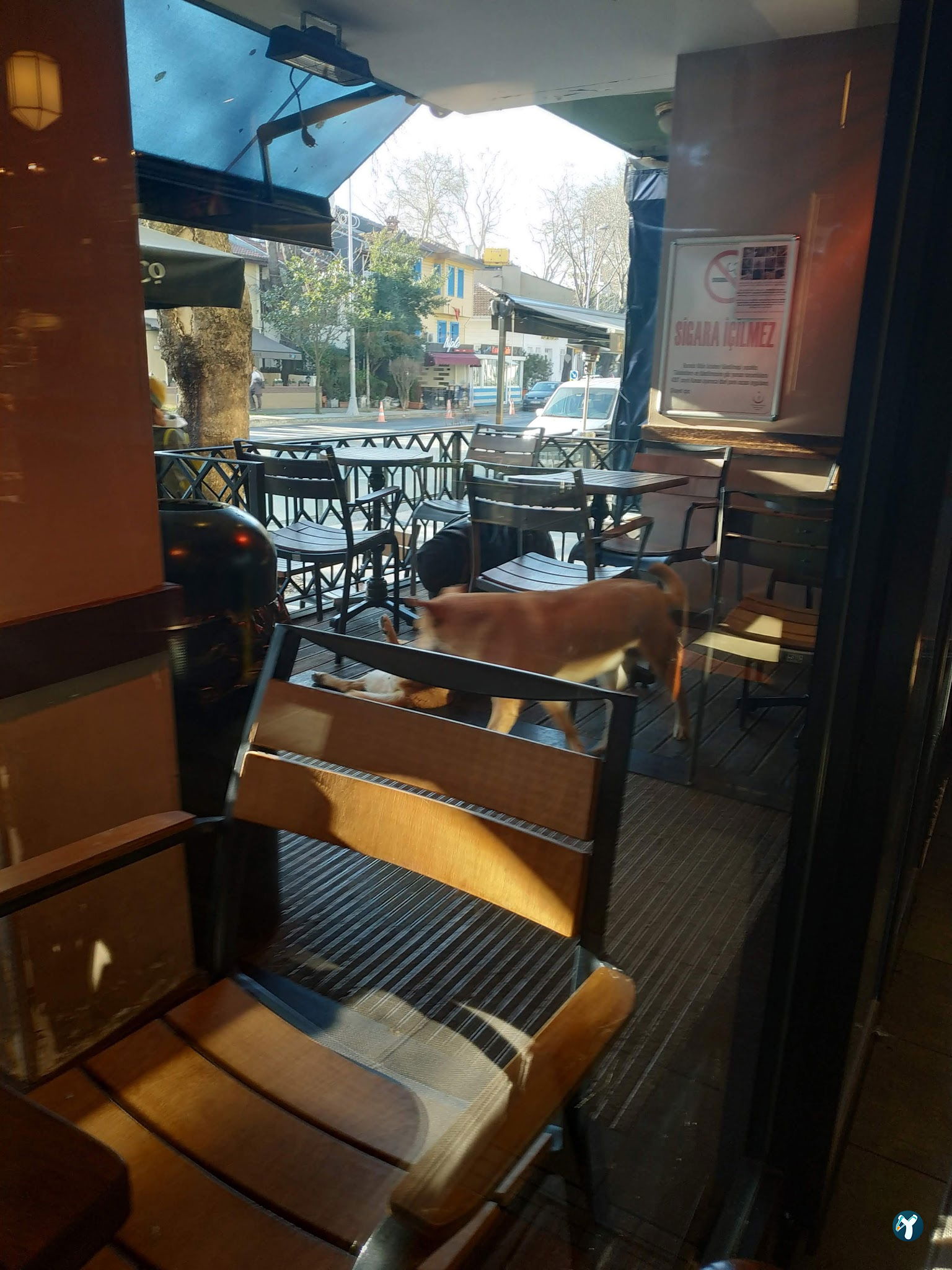 Caffe Nero