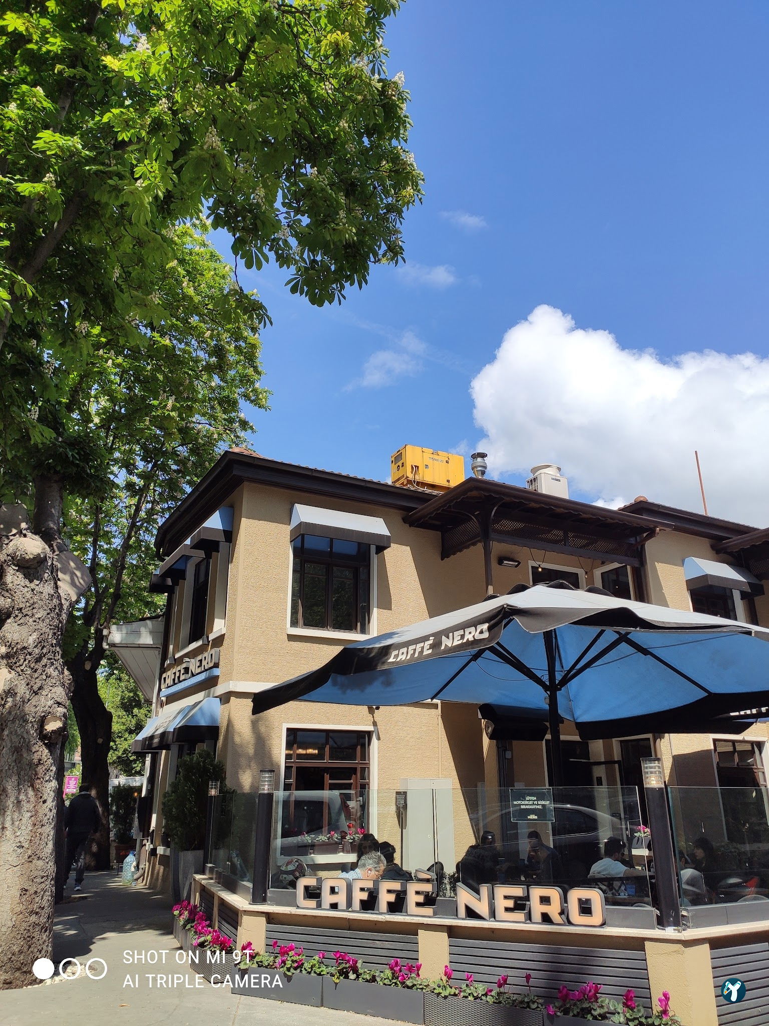 Caffe Nero