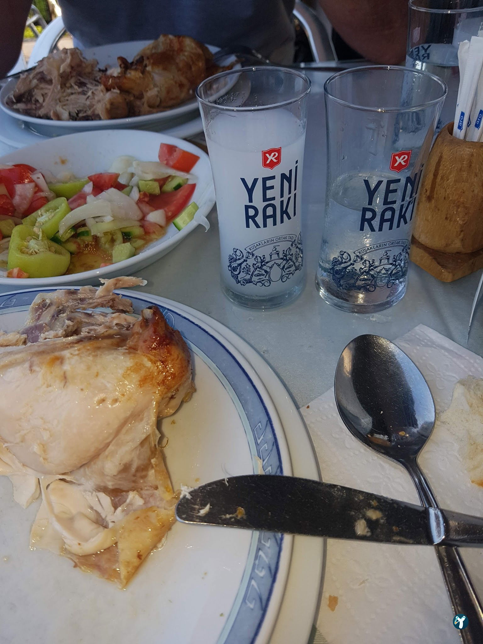 Kevser Piliç Çevirme