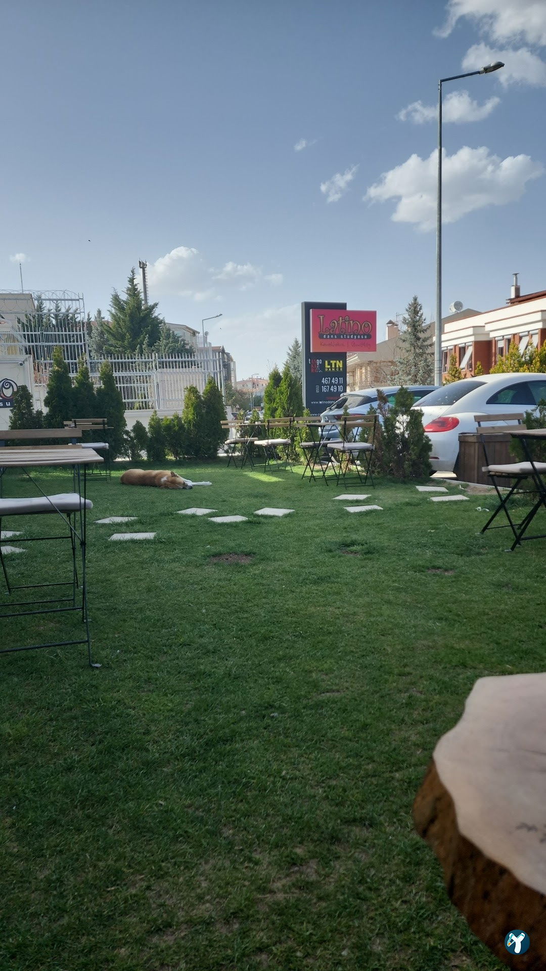 Cafe Deren A'Mor