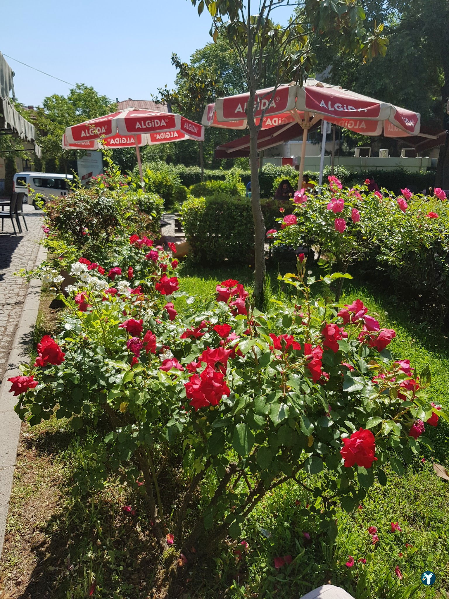 Modi Cafe