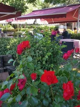 Modi Cafe resimleri