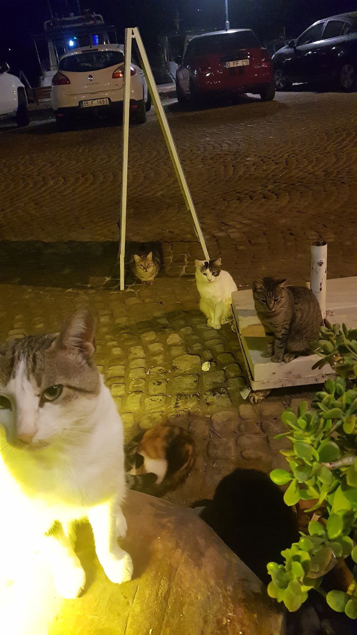 Fishing Koboros Cafe Bar