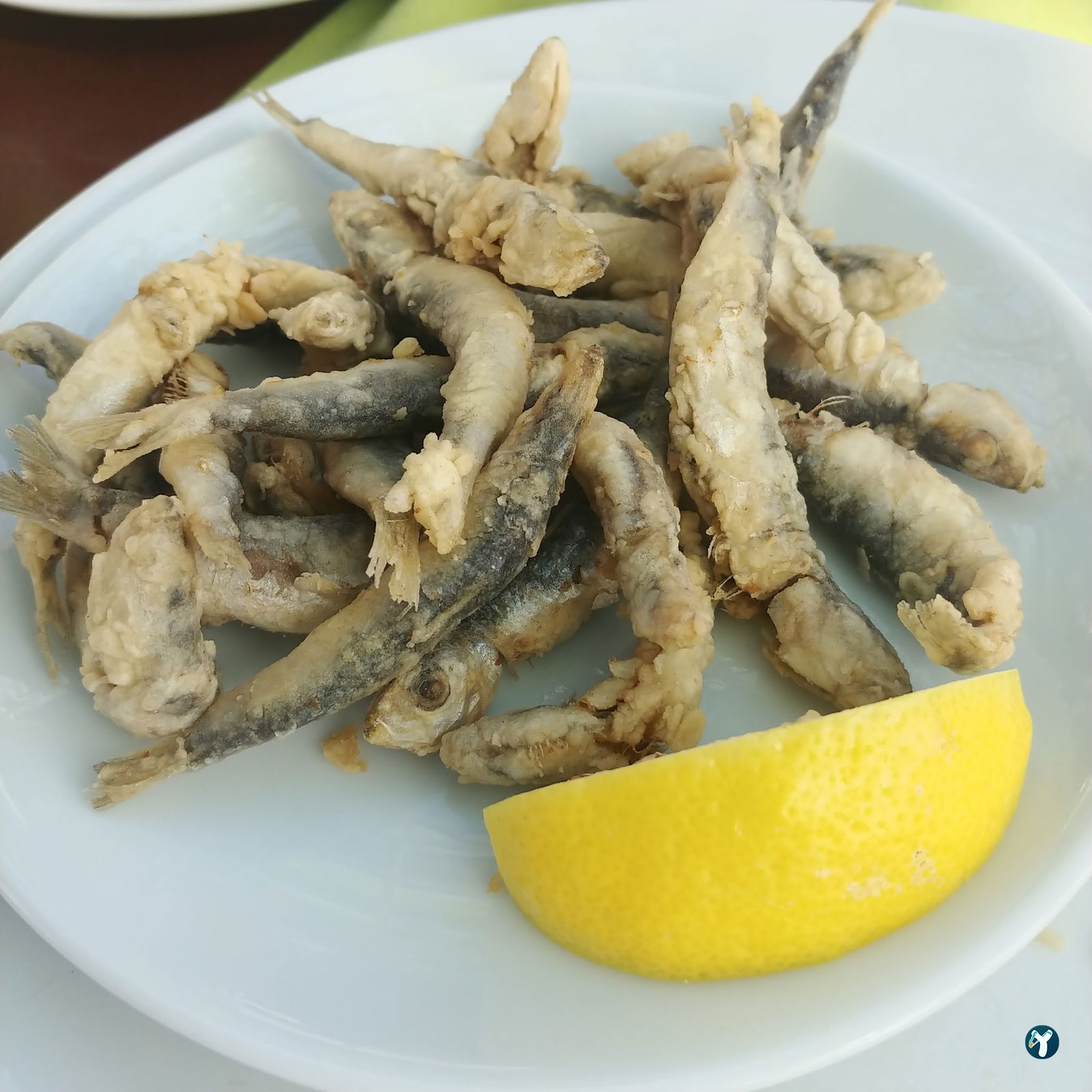 Fishing Koboros Cafe Bar