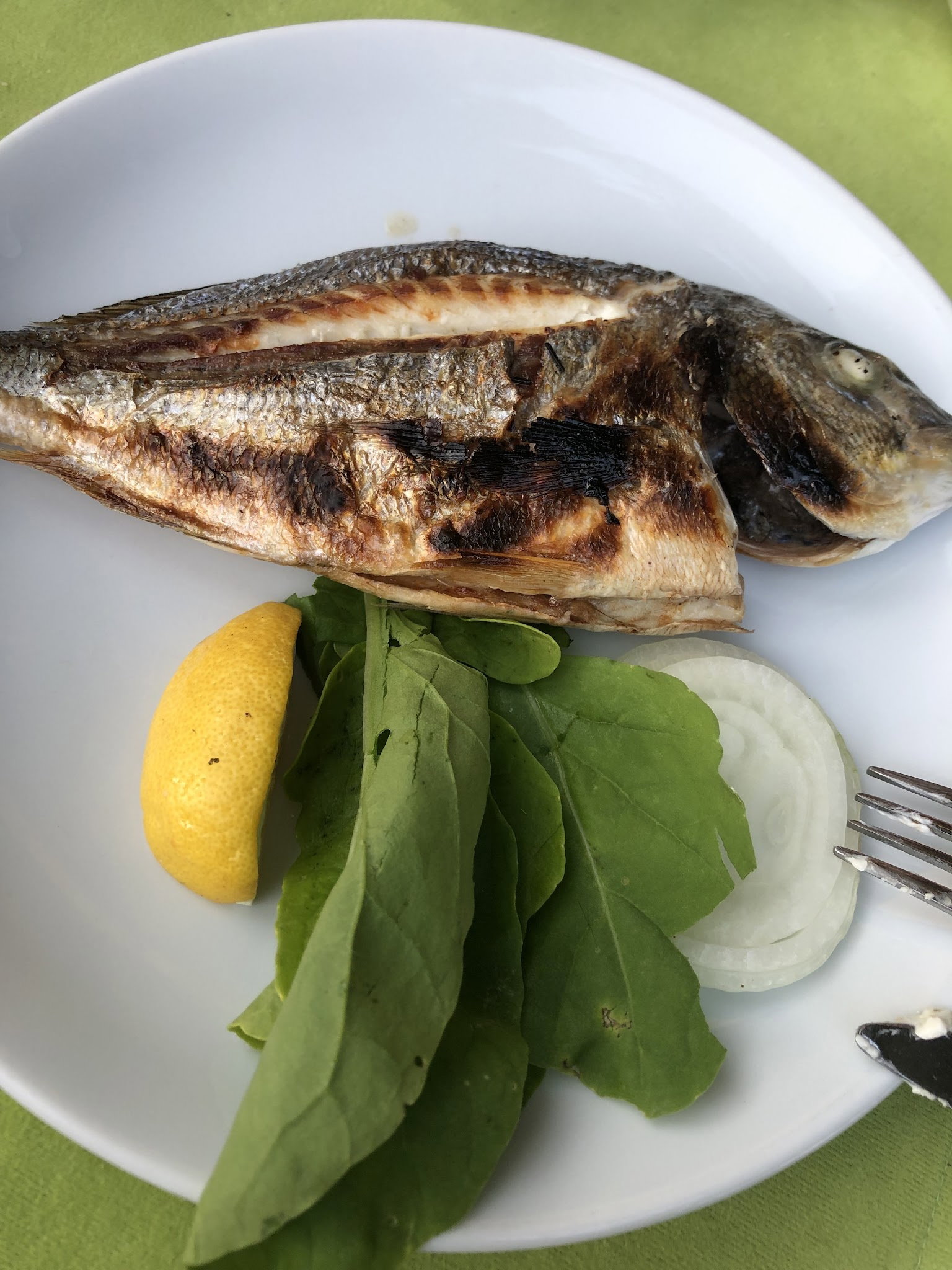 Fishing Koboros Cafe Bar