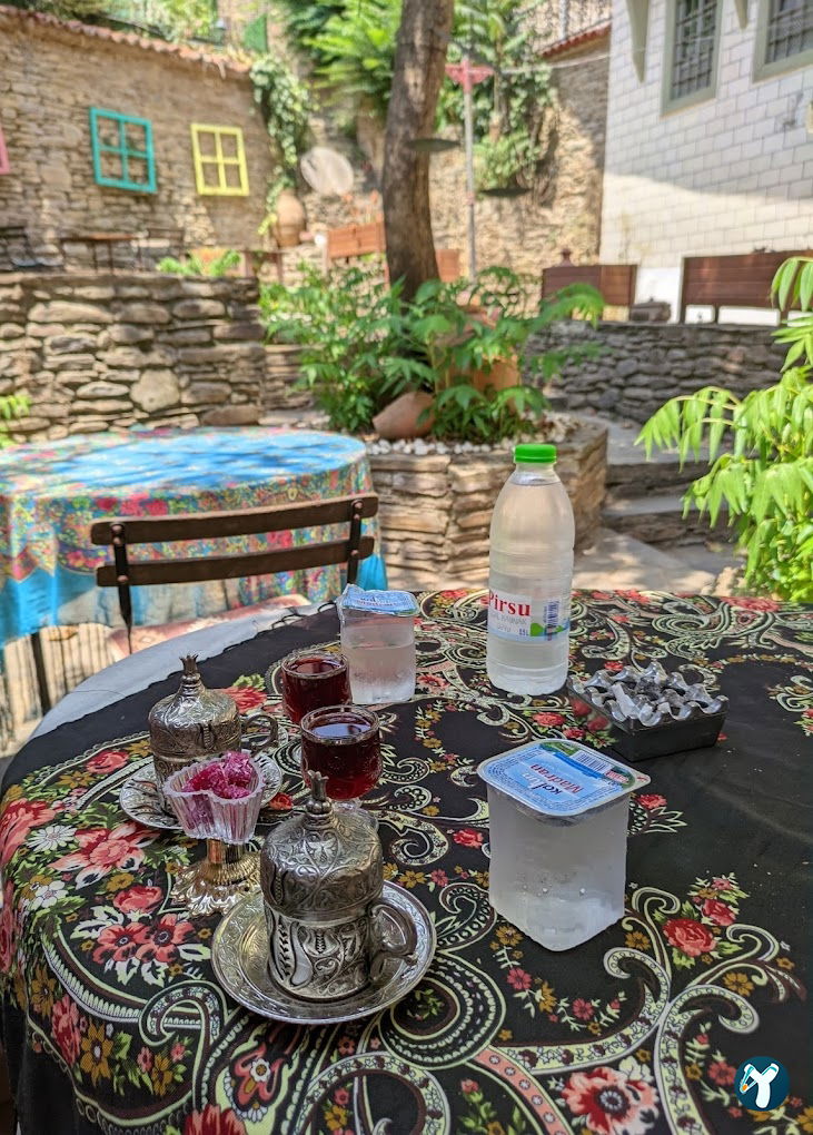 BİRGİ NAR DANESİ