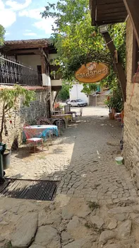 BİRGİ NAR DANESİ resimleri