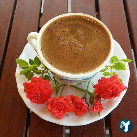 Ceylan Cafe