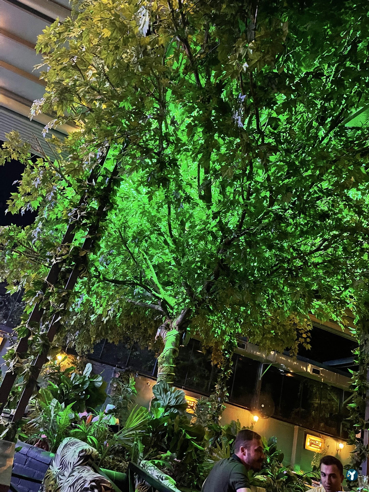 Mevzuu Cafe & Bistro Aşağı Eğlence Şube