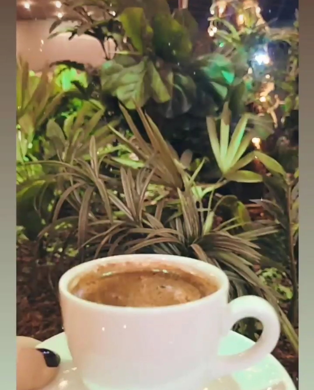 Mevzuu Cafe & Bistro Aşağı Eğlence Şube