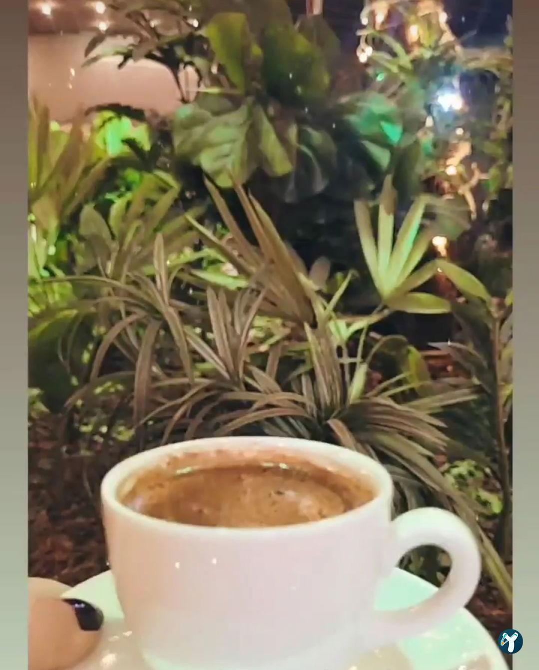 Mevzuu Cafe & Bistro Aşağı Eğlence Şube