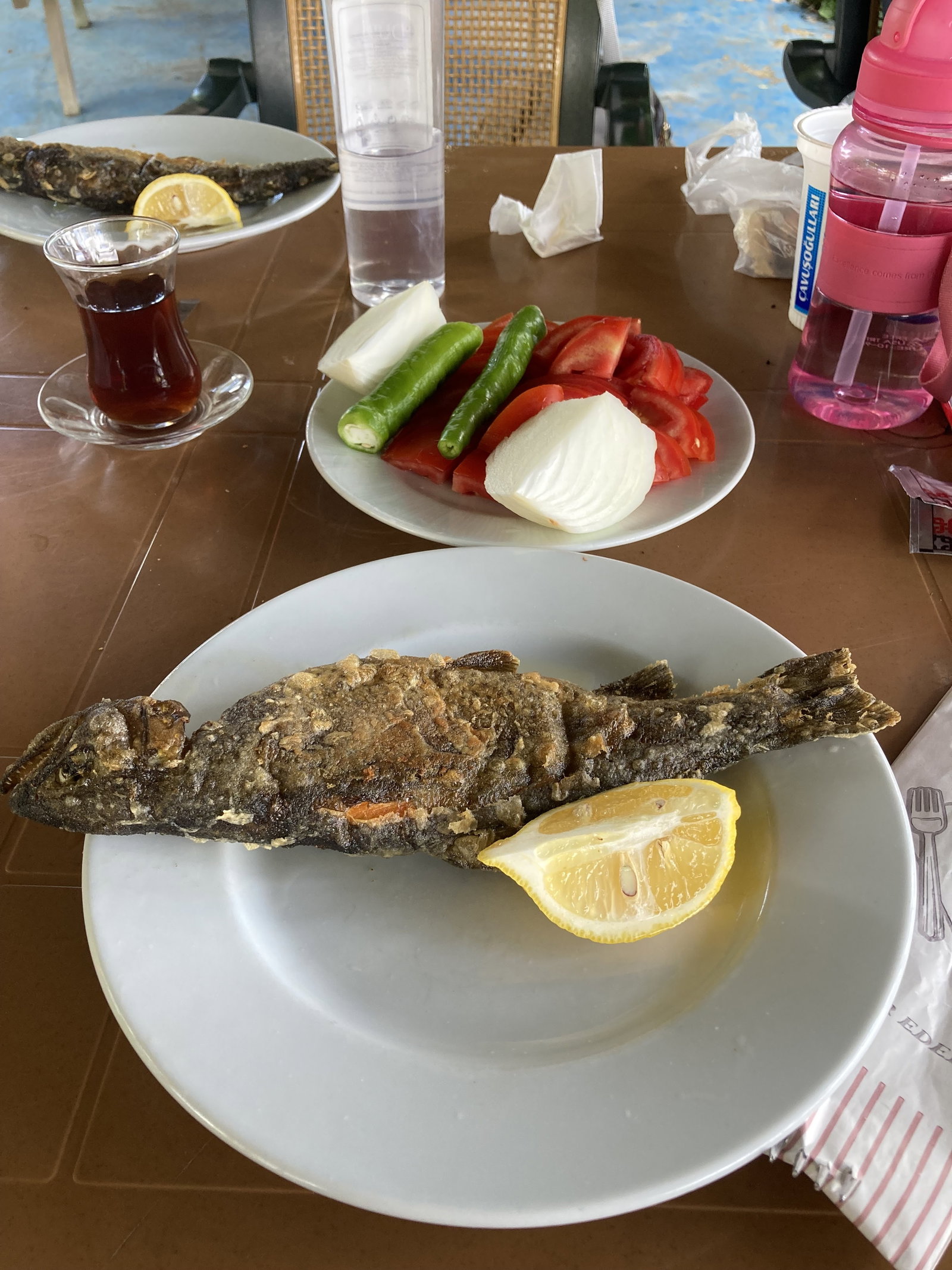 Büyük Menderes Canlı Alabalık