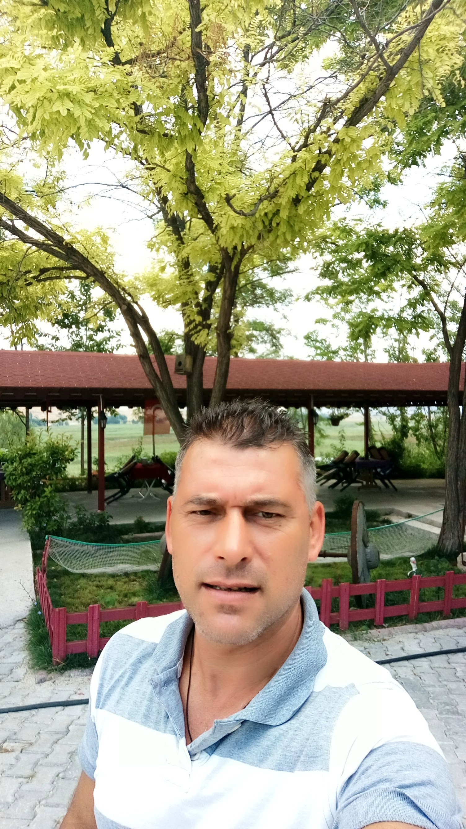 Büyük Menderes Canlı Alabalık