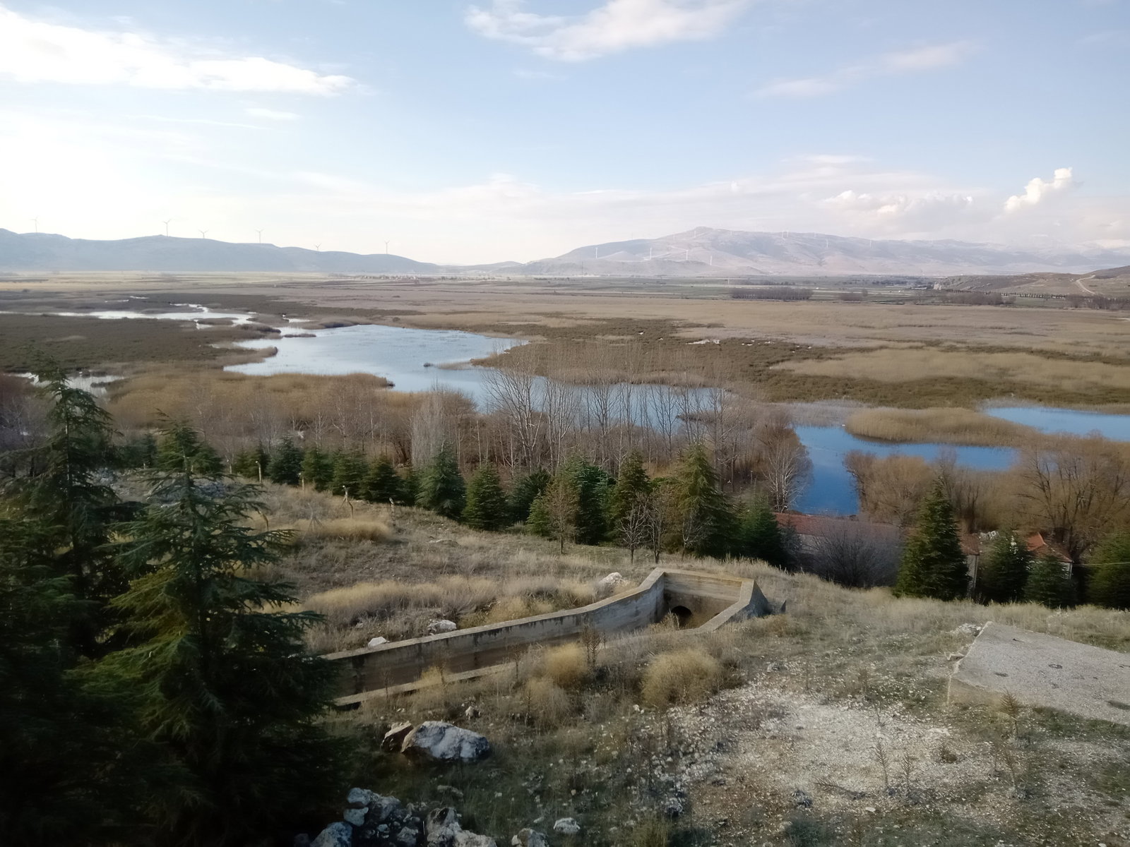 Büyük Menderes Canlı Alabalık
