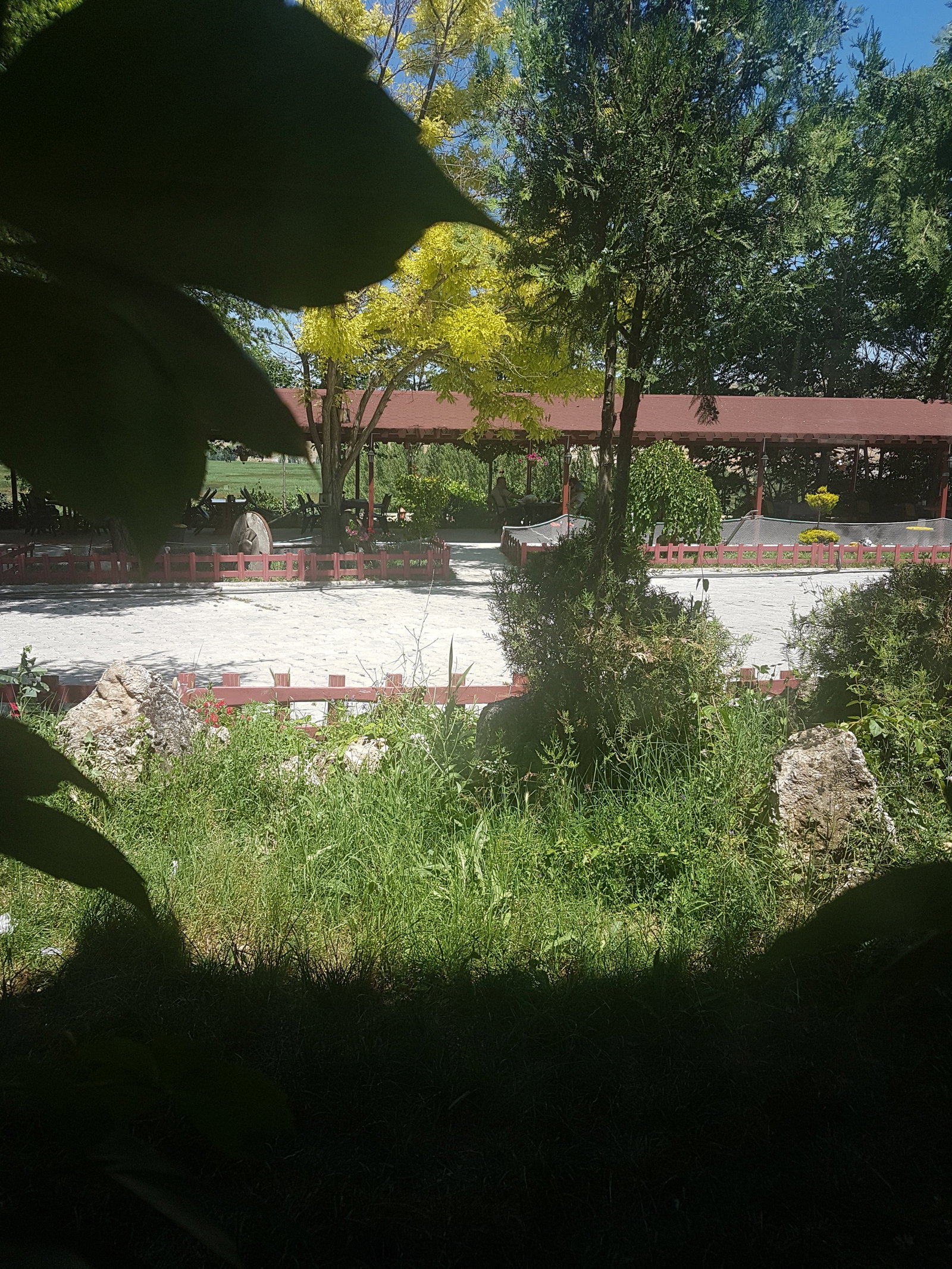 Büyük Menderes Canlı Alabalık