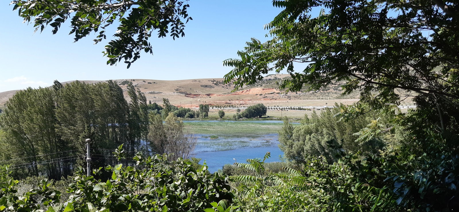 Büyük Menderes Canlı Alabalık