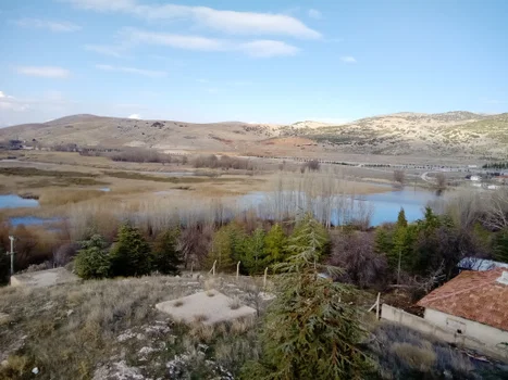 Büyük Menderes Canlı Alabalık resimleri