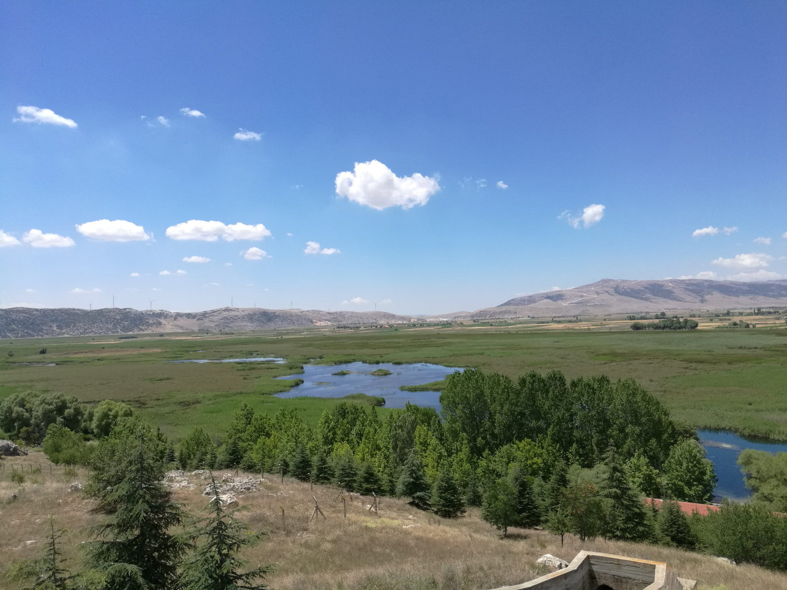Büyük Menderes Canlı Alabalık