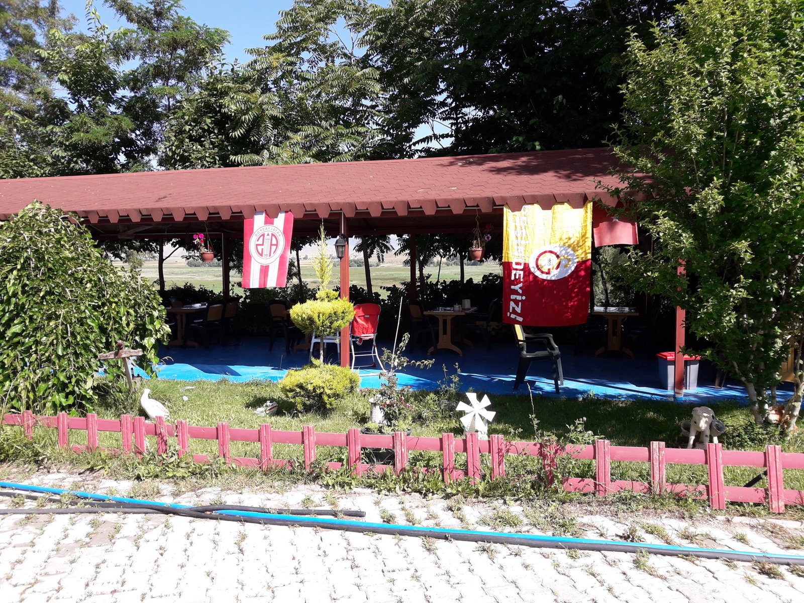 Büyük Menderes Canlı Alabalık