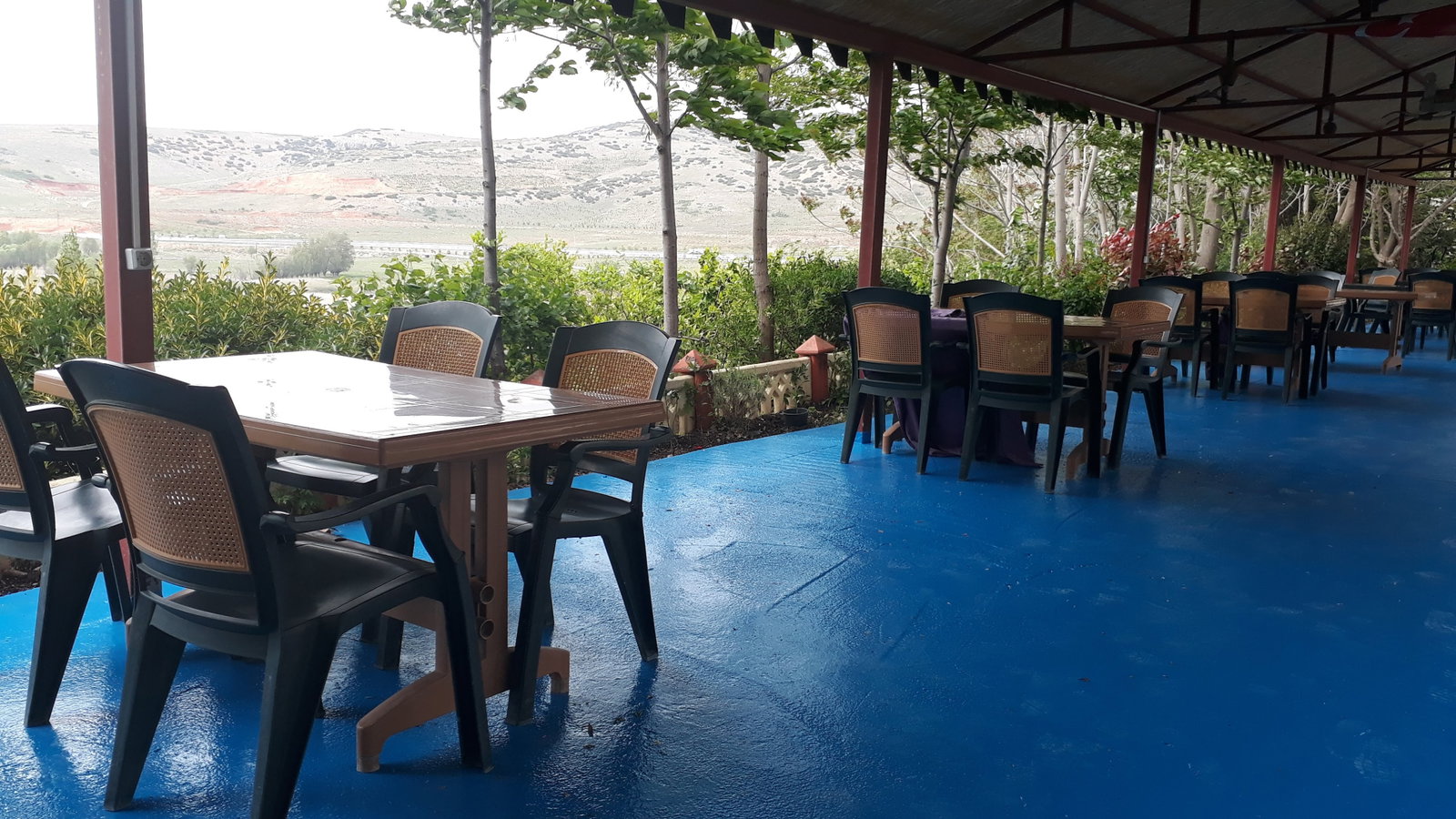 Büyük Menderes Canlı Alabalık