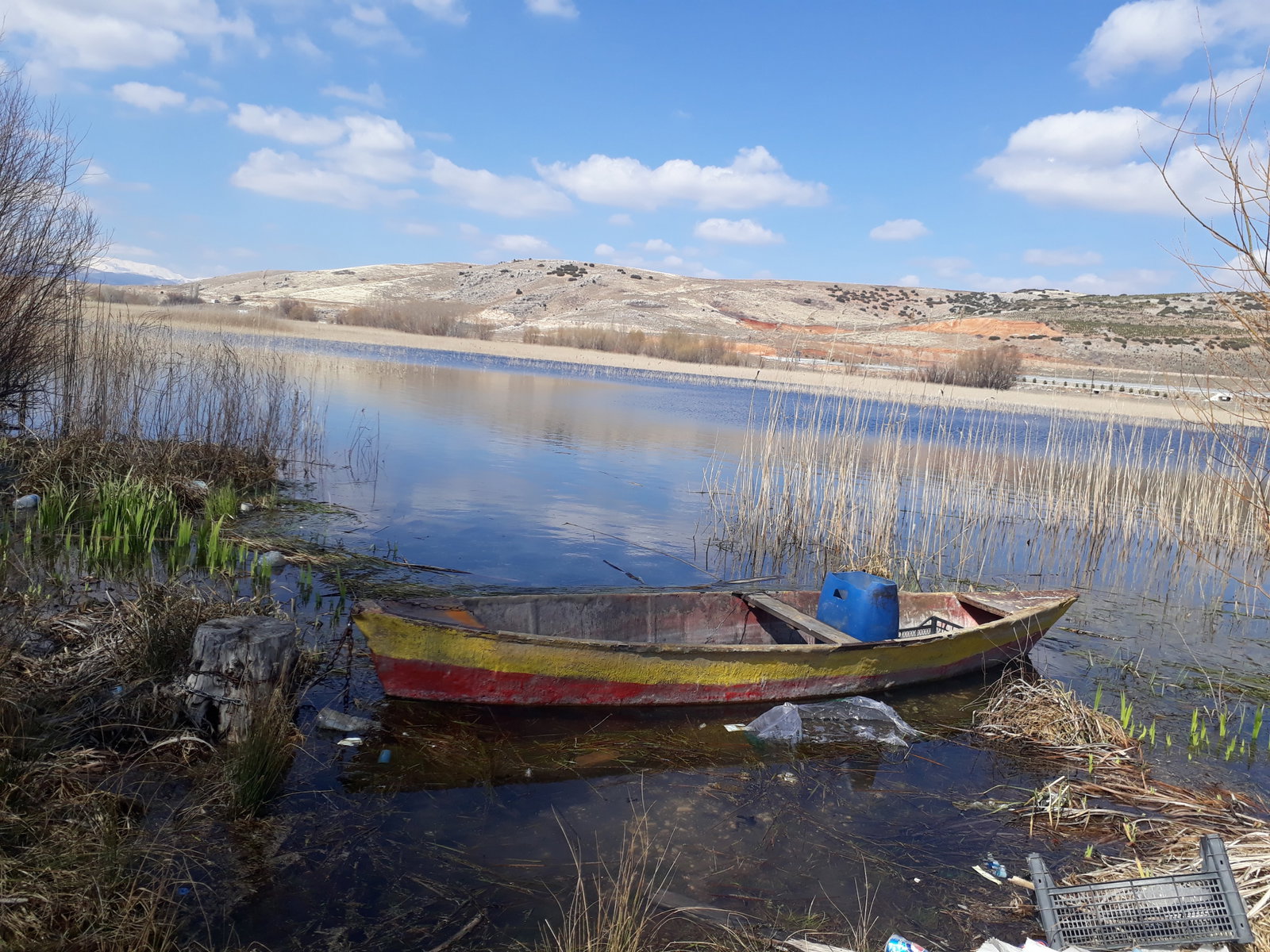 Büyük Menderes Canlı Alabalık
