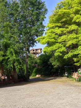 Büyük Menderes Canlı Alabalık resimleri