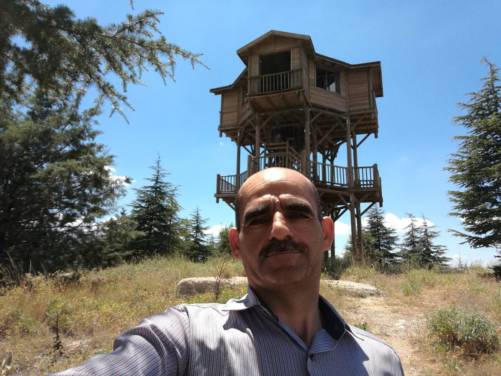 Büyük Menderes Canlı Alabalık