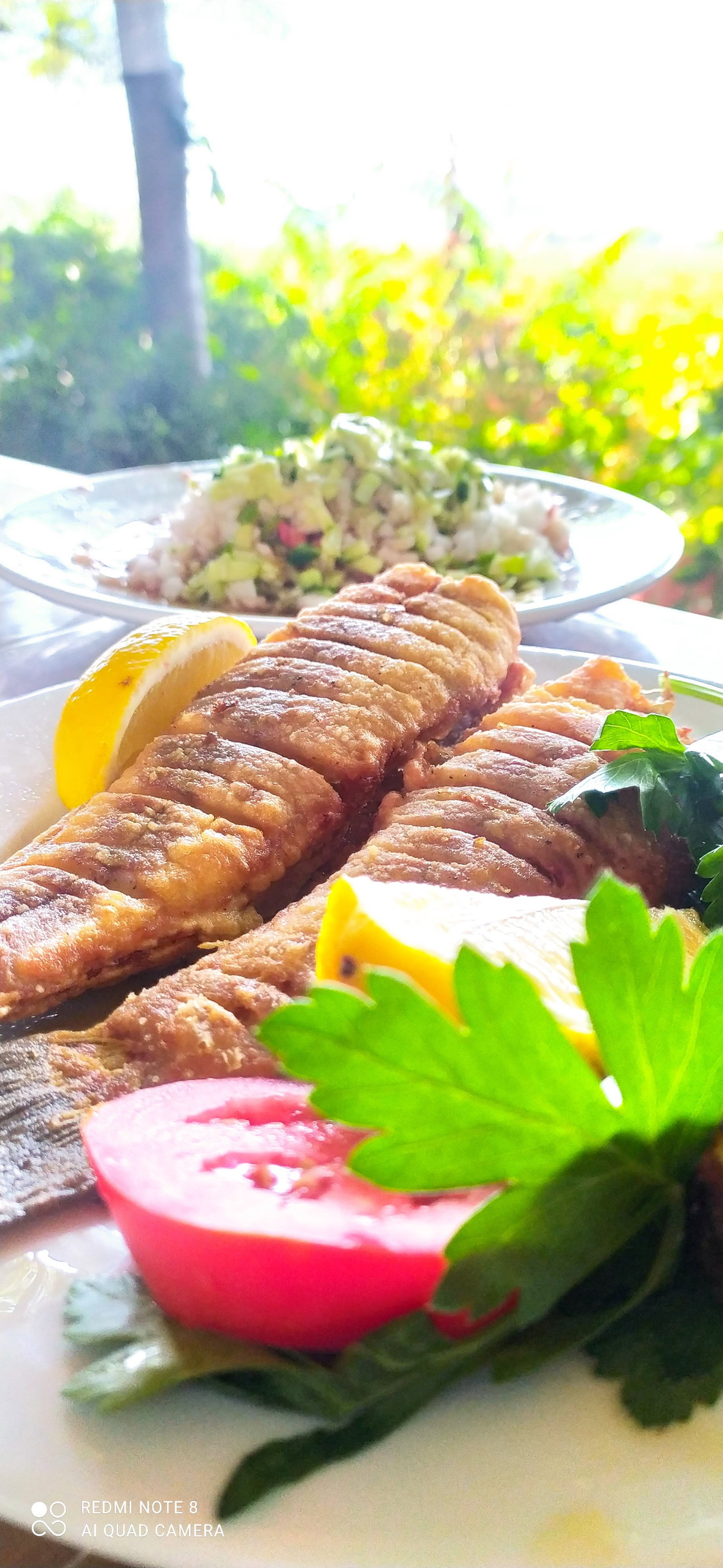 Büyük Menderes Canlı Alabalık
