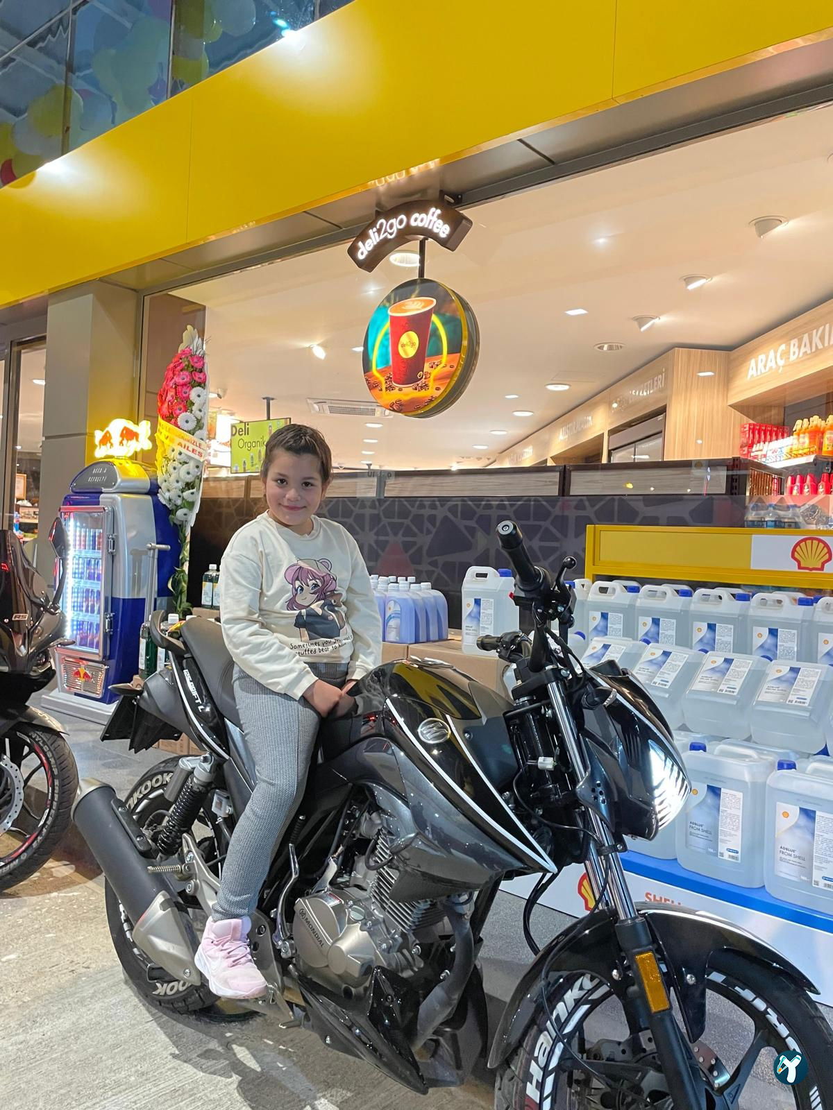 Torunlar Akaryakıt Shell Ordu