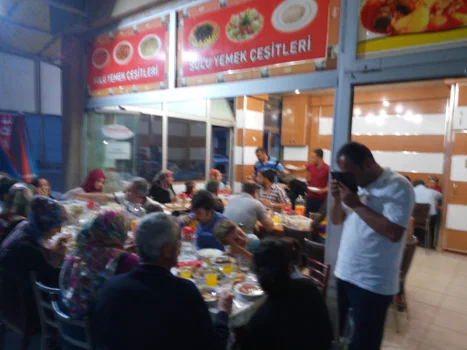 Beyaz Piliç resimleri