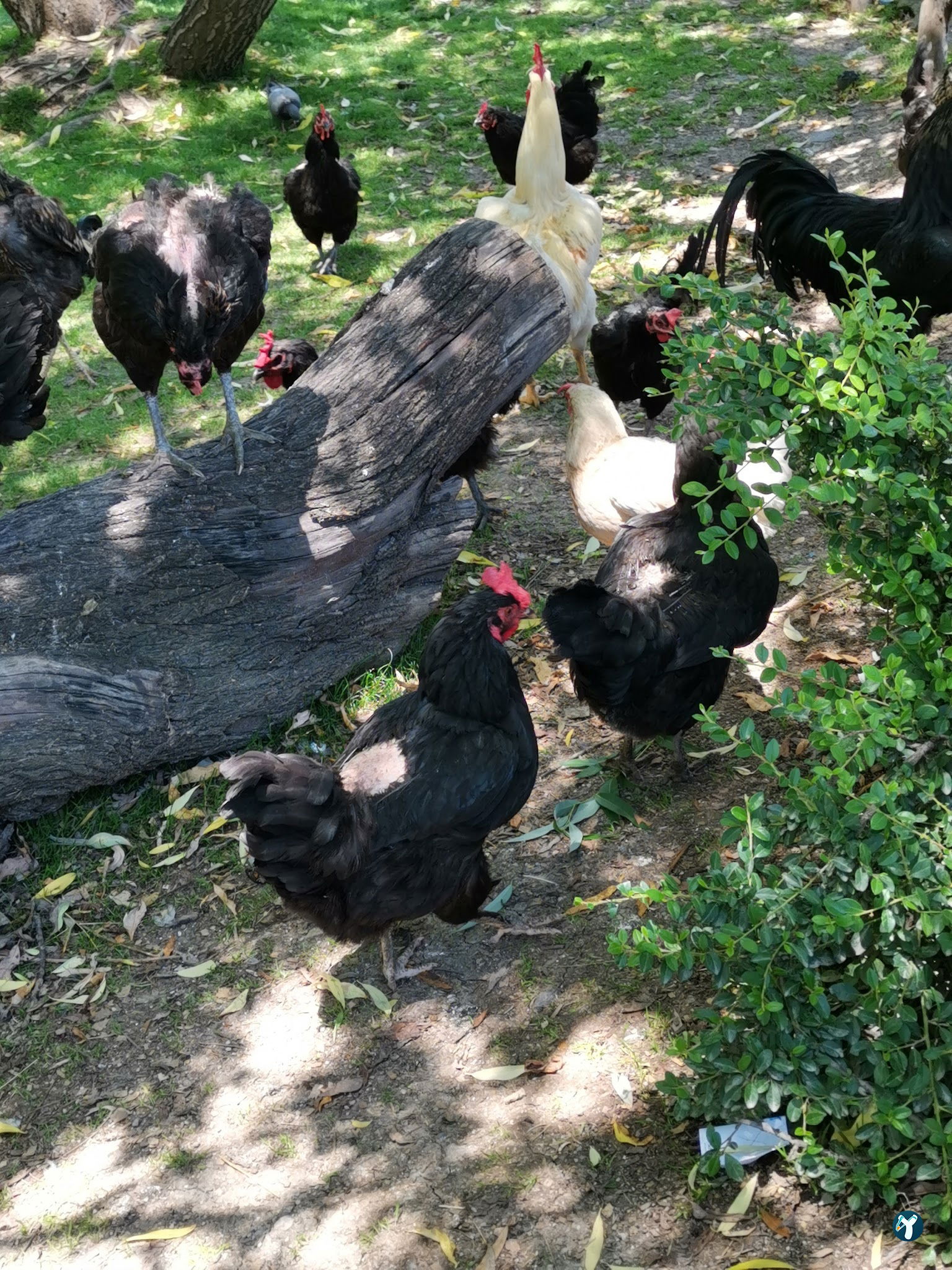 Döngeller Konağı