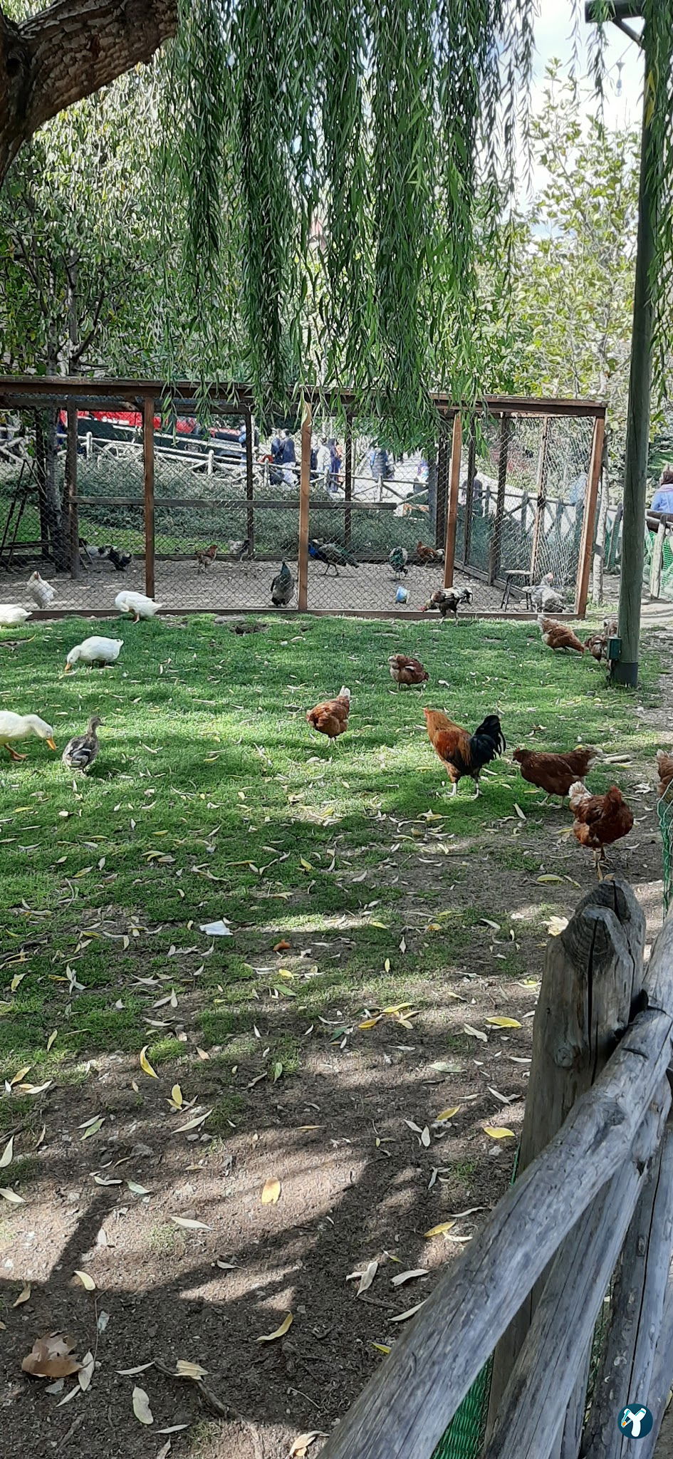 Döngeller Konağı