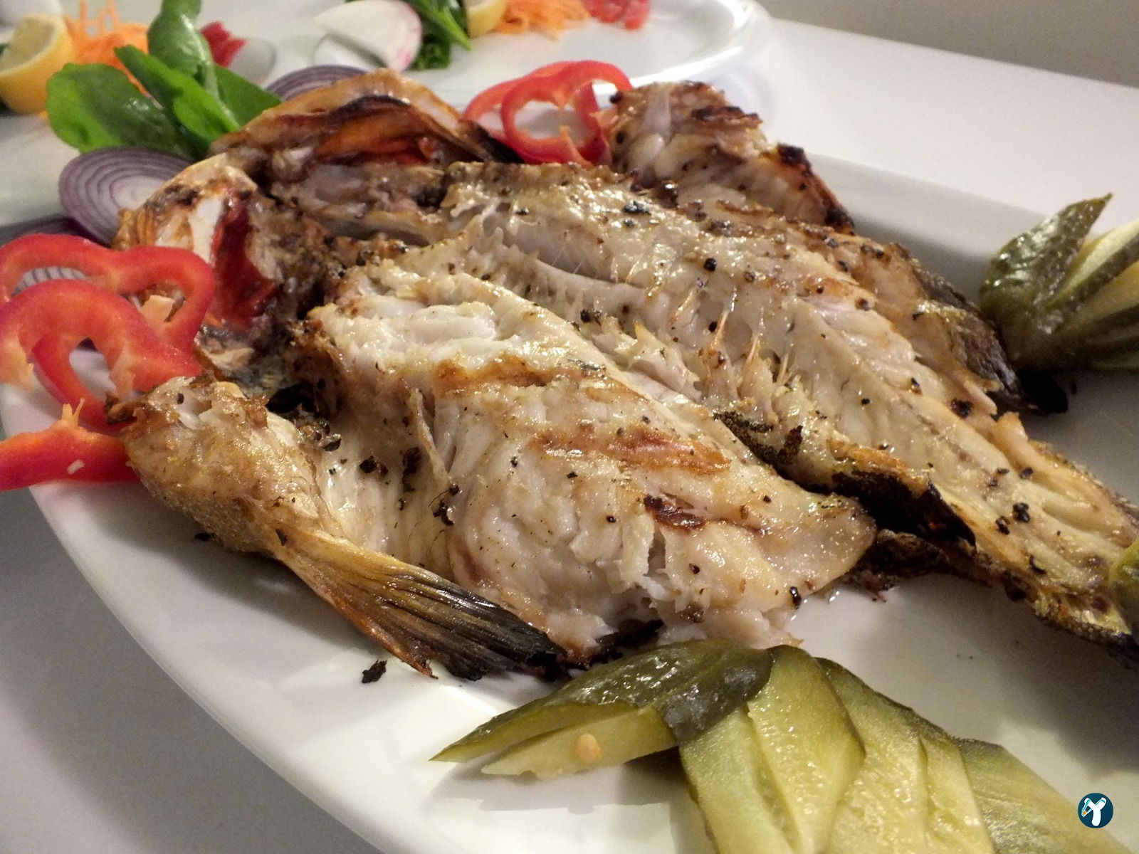 Ba'Balık Salaş