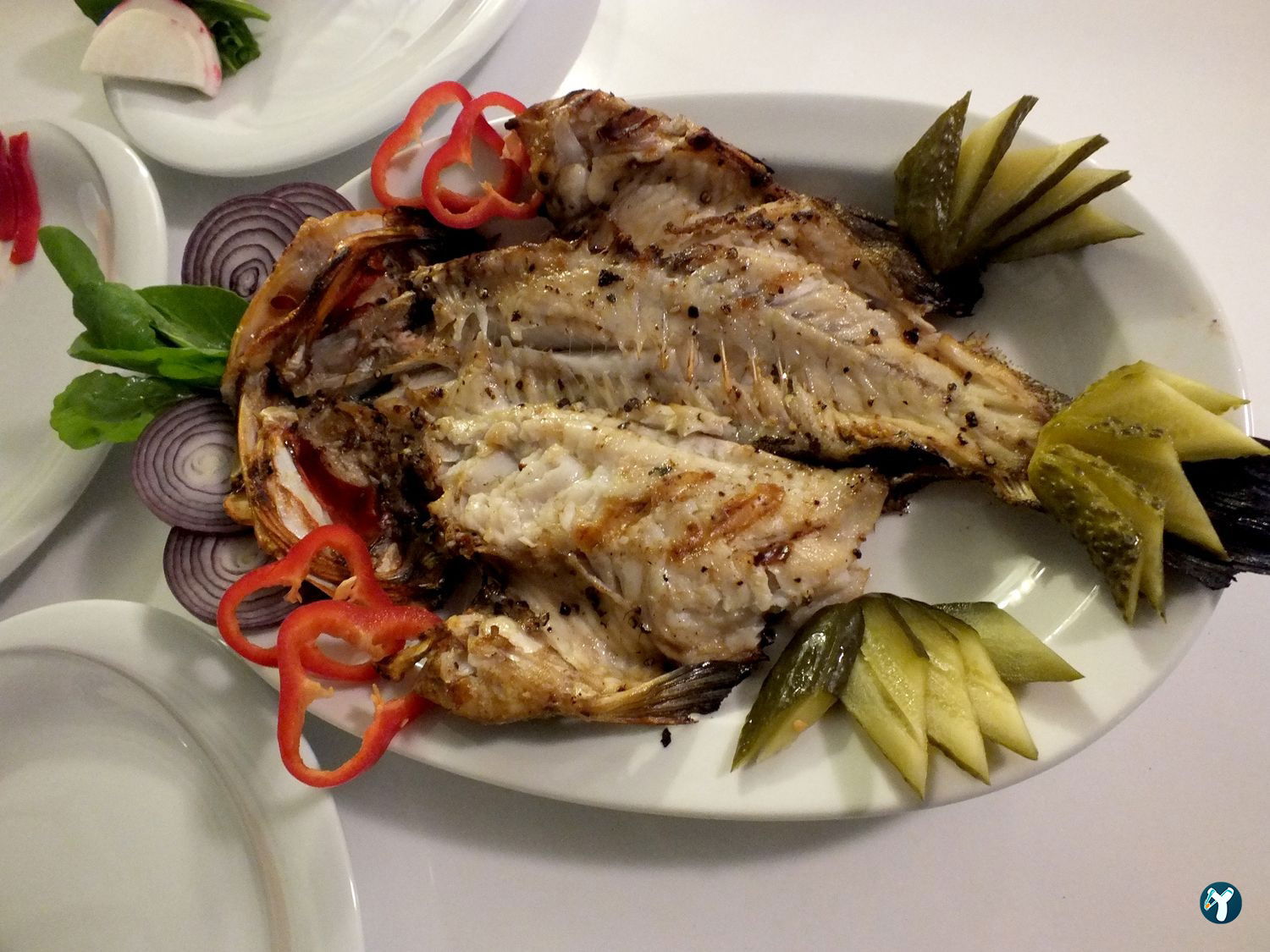 Ba'Balık Salaş