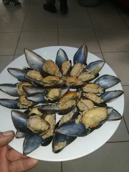 Midyeci Aziz resimleri
