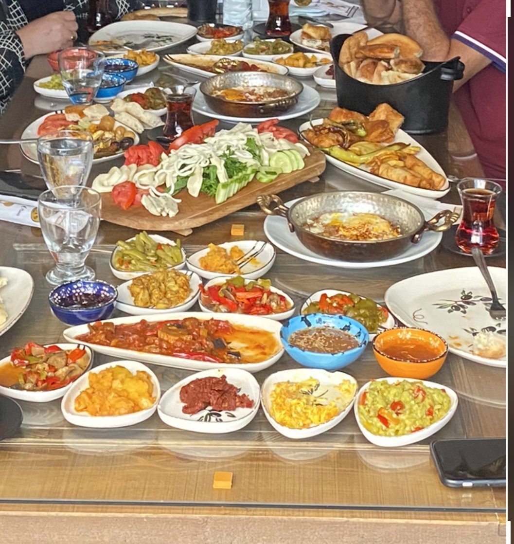Amytis Mekan