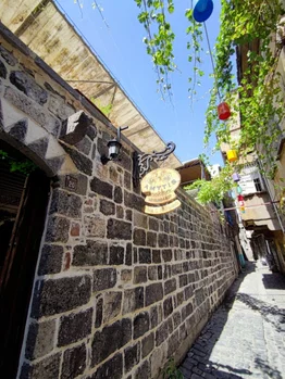 Amytis Mekan resimleri