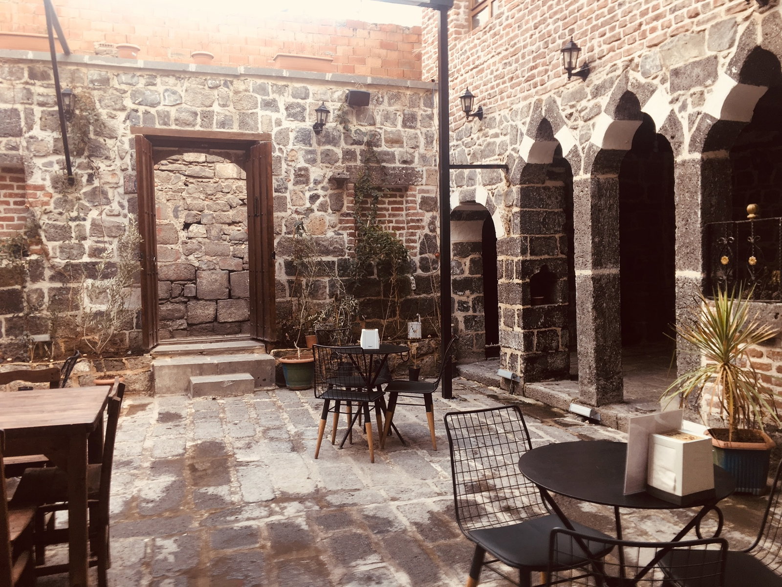 Amytis Mekan