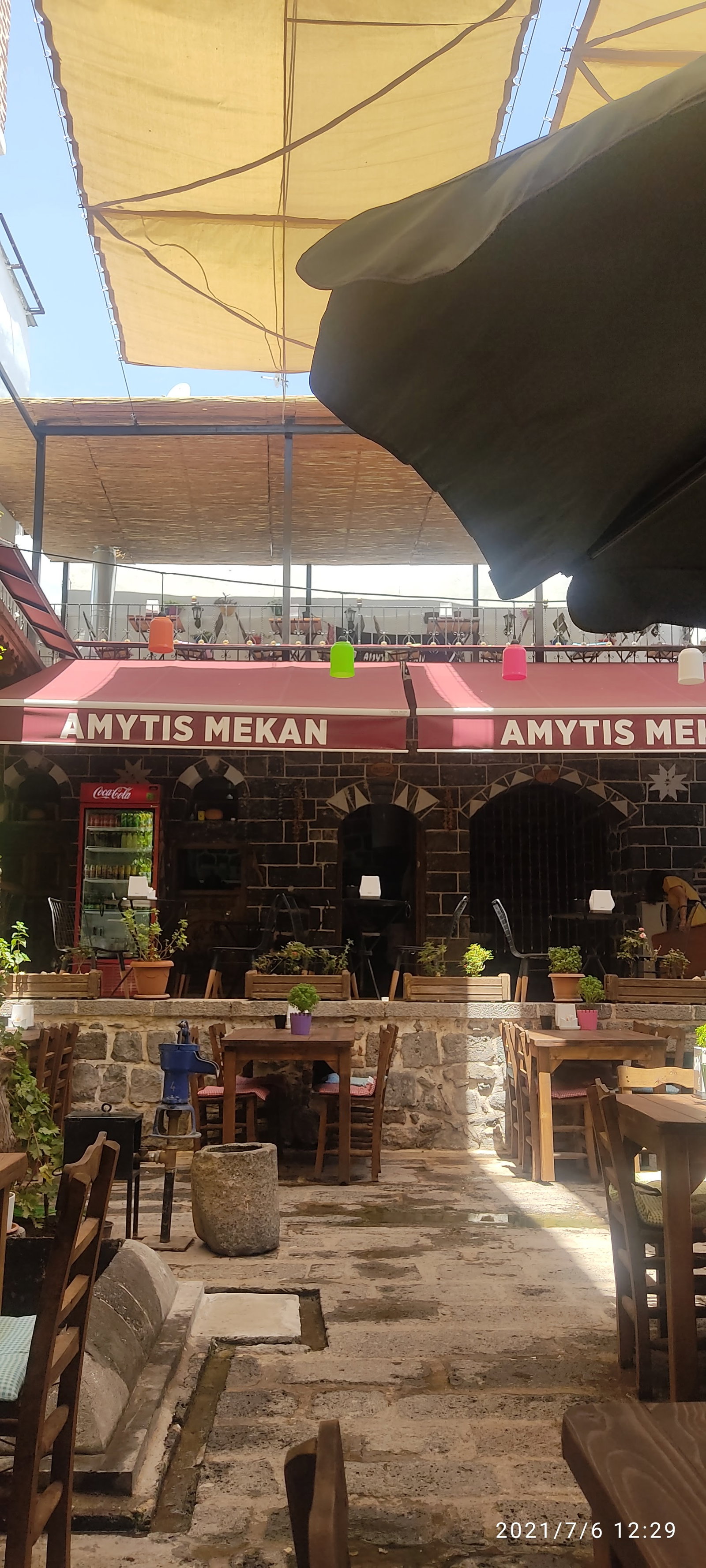 Amytis Mekan