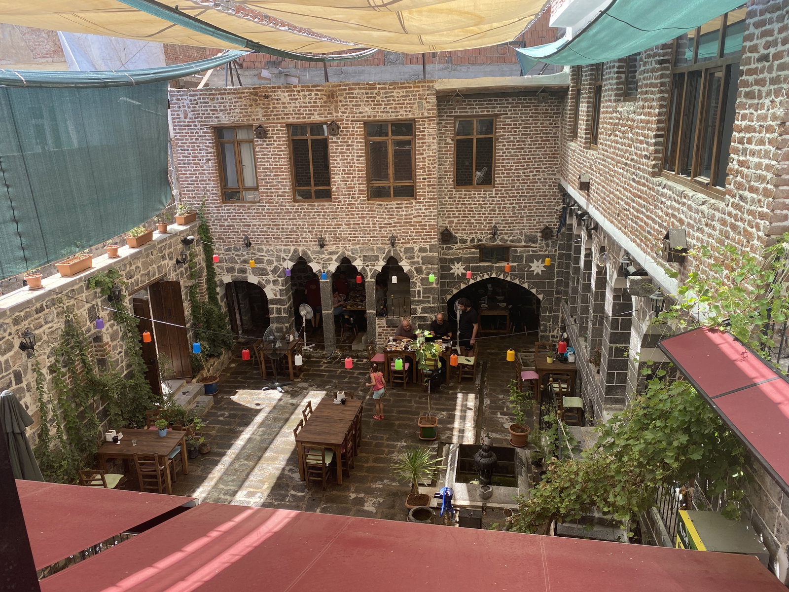 Amytis Mekan