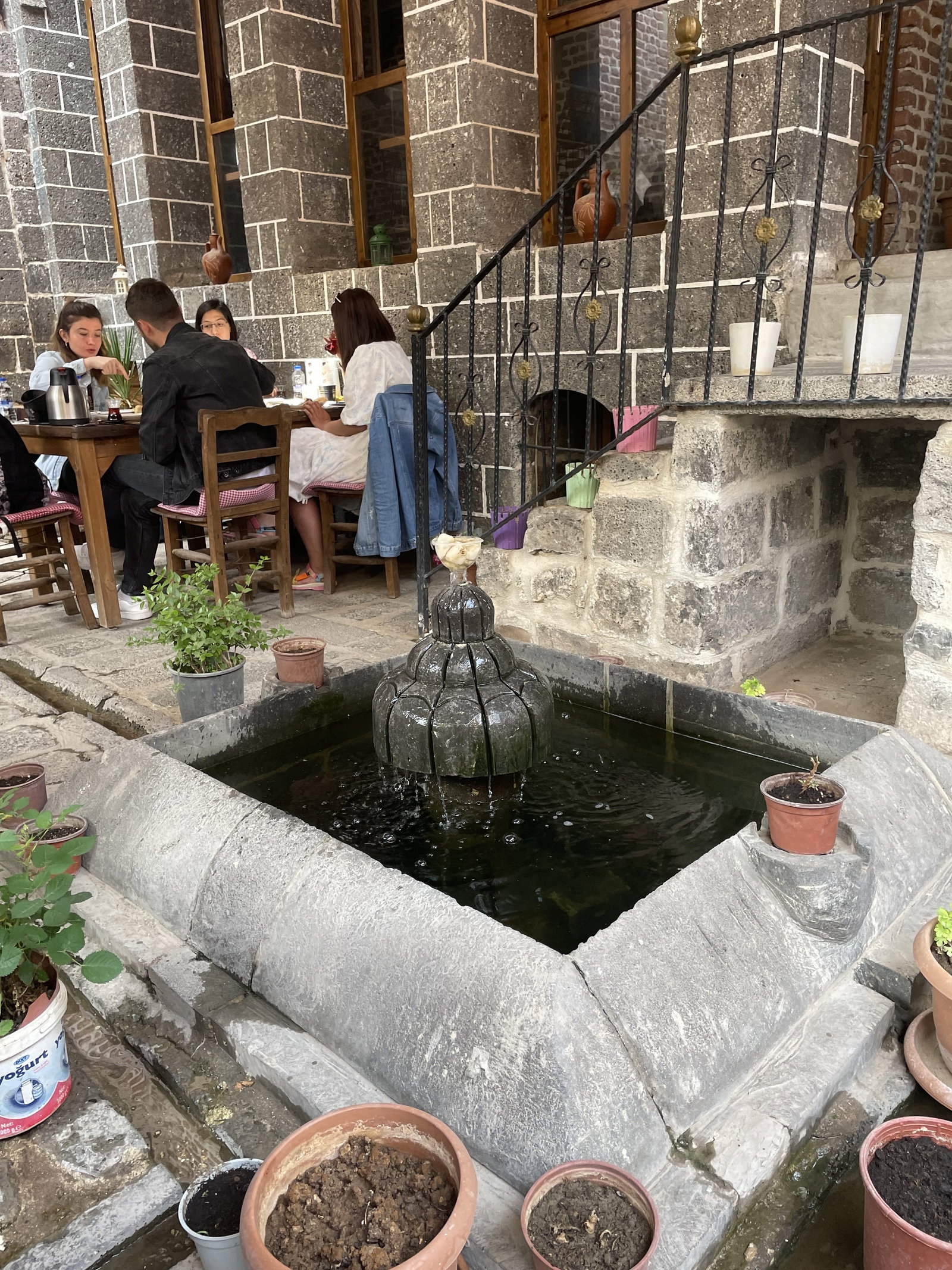 Amytis Mekan
