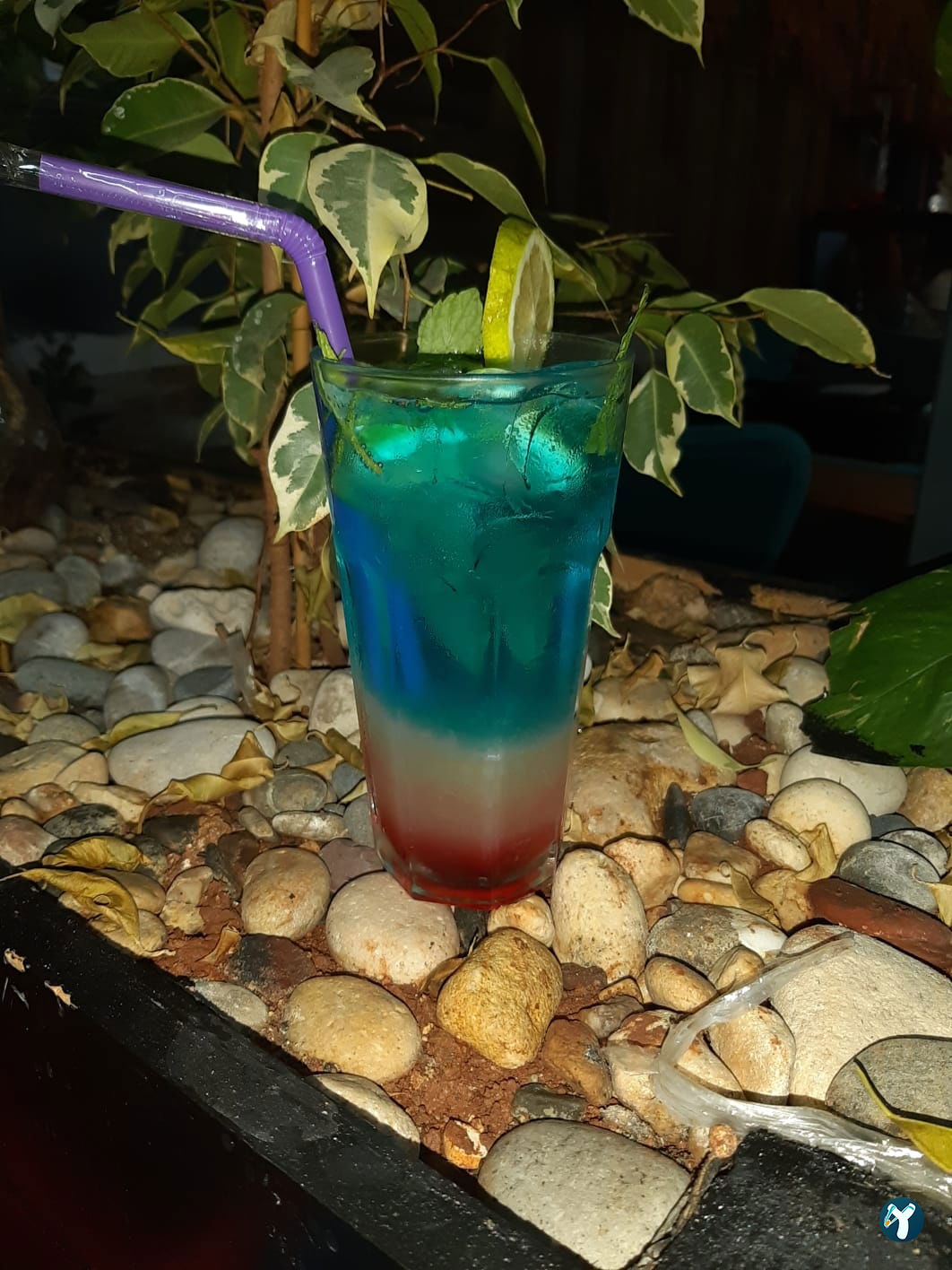 Saklı Bahçe Cafe Unze