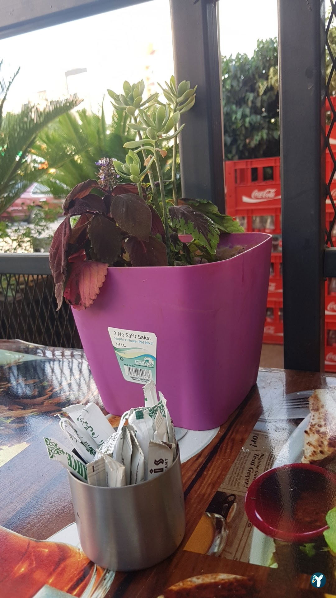 Saklı Bahçe Cafe Unze